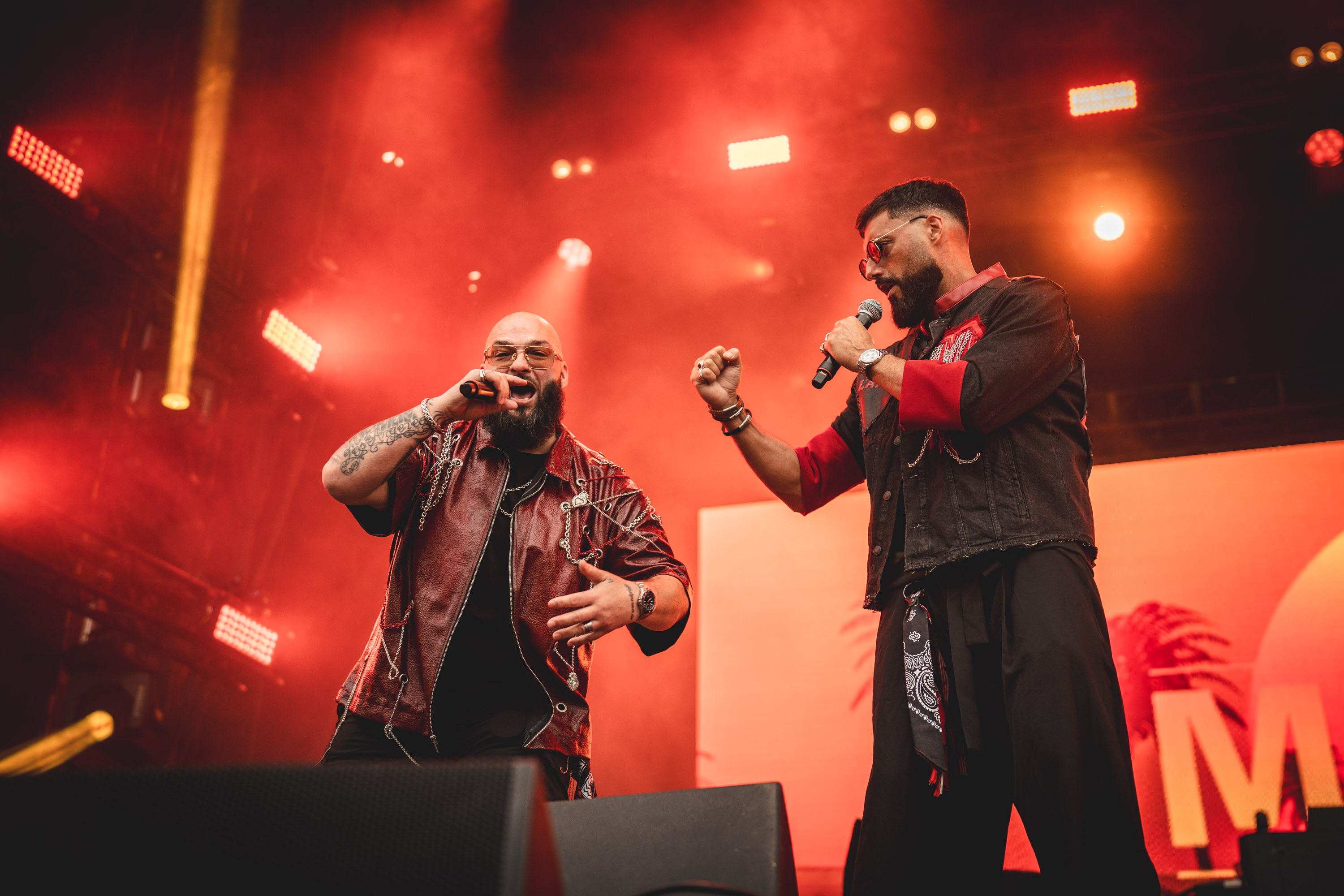 Alive Festival concert photograph